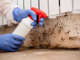 Mold Remediation for Rental Properties in Ottawa, IL